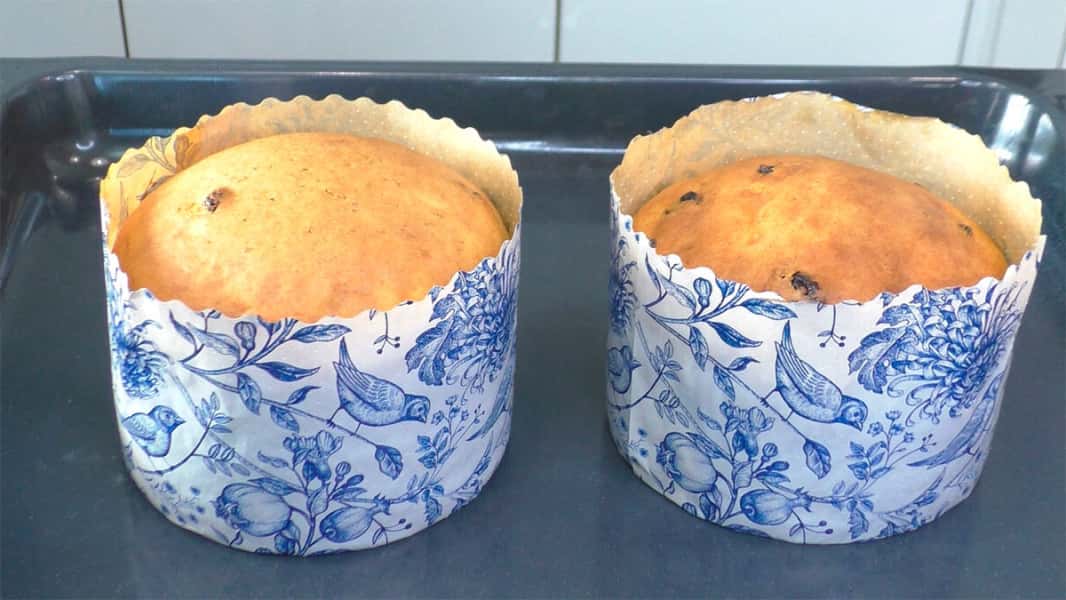 84ff88101cf3d0b23ce52a1cedb4579b