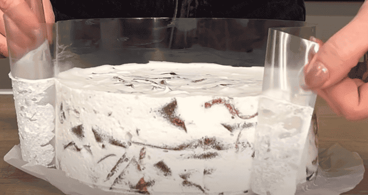 Мало хто пече такі десерти! Смачний торт із найпростіших інгредієнтів: ніжні млинці, що тануть в роті, в поєднанні з шоколадом, вишнею і ніжним кремом - ідеально