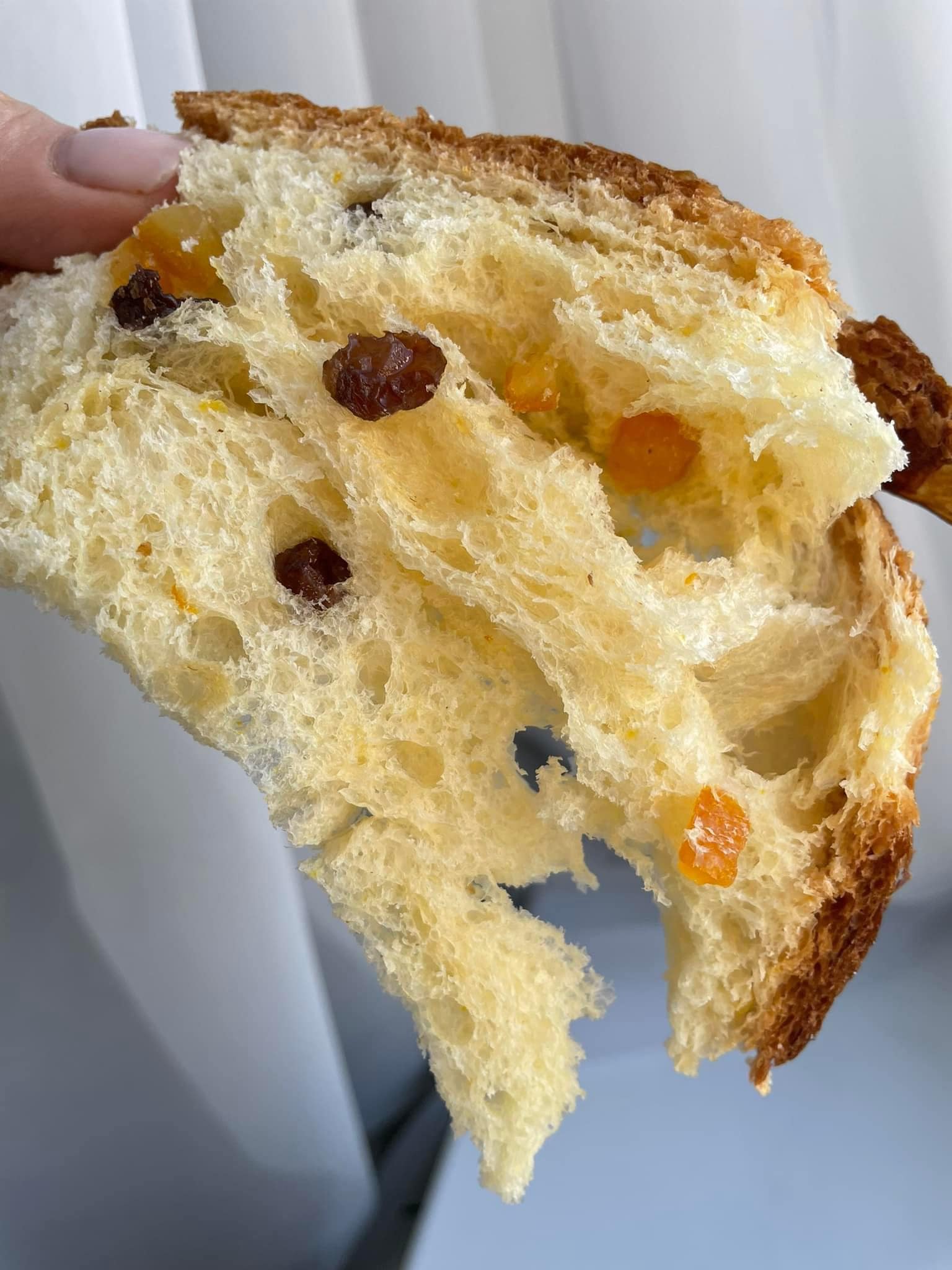 "Панеттоне" за рецептом української господині: це найкращий панеттоне із швидких та безпроблемних рецептів - волокнистий, вологий та дуже ароматний