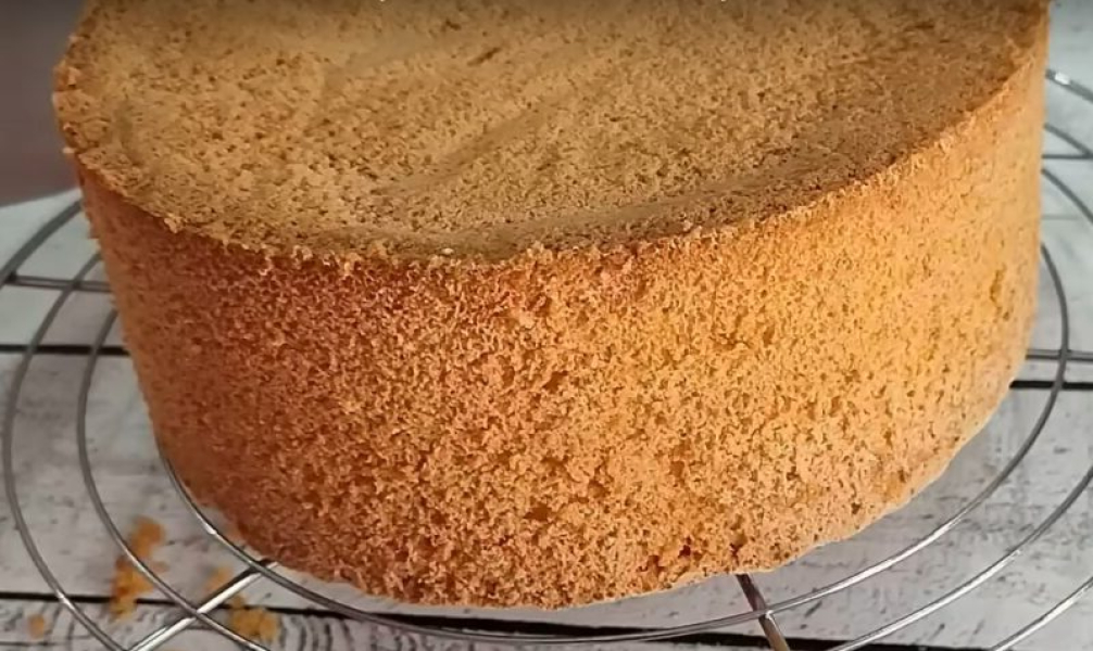 0ca65882d5314176d6fa9eae5bd0c6bc