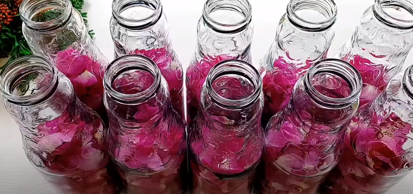 Найсмачніший напій у світі - з пелюсток троянд! Ви повинні його спробувати "Трояндове мохіто" на зиму