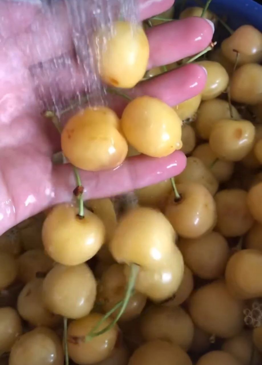 Варення з білої черешні на зиму "Янтарне" - моє найулюбленіше, рецепт дуже хороший, варення виходить неймовірно смачним та гарним (нічого не "стріляє" і не псується)