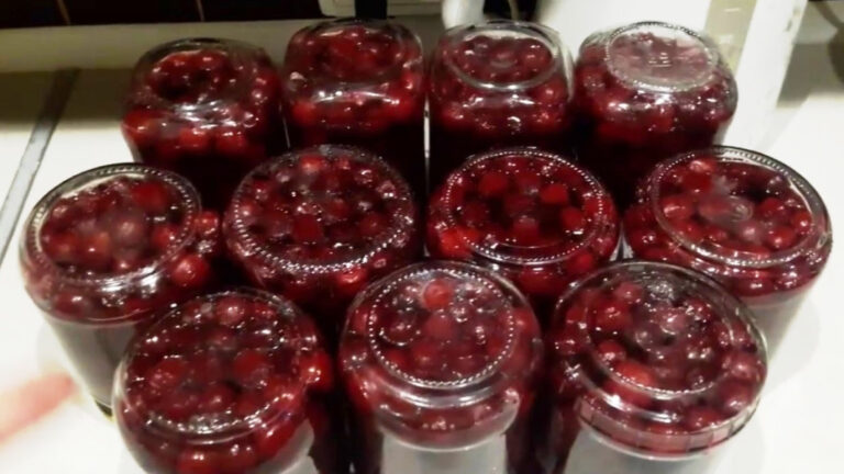 337f5b3373d9e892e3b0273b056b2446