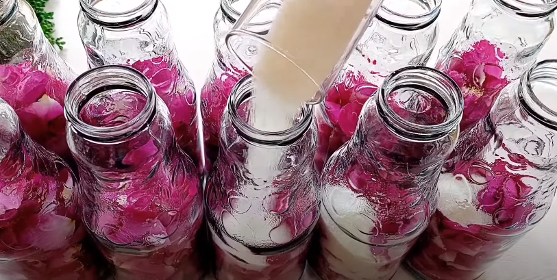 Найсмачніший напій у світі - з пелюсток троянд! Ви повинні його спробувати "Трояндове мохіто" на зиму
