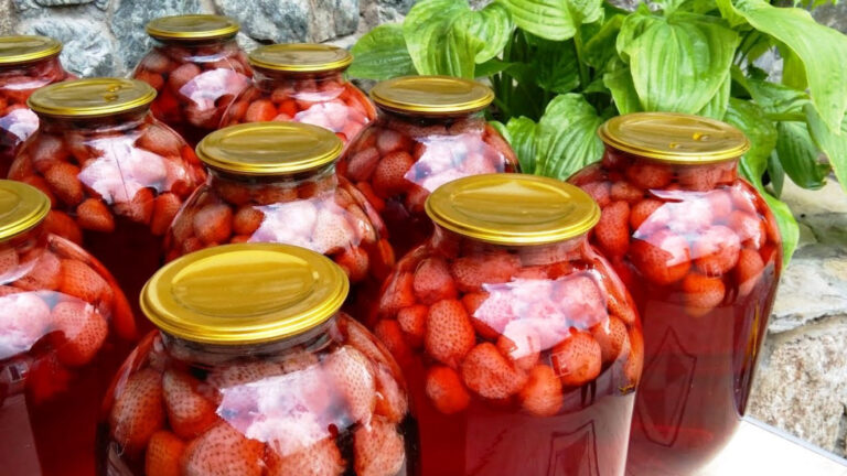 4a55ea493cdec80fa9c9b521ee68d0d6