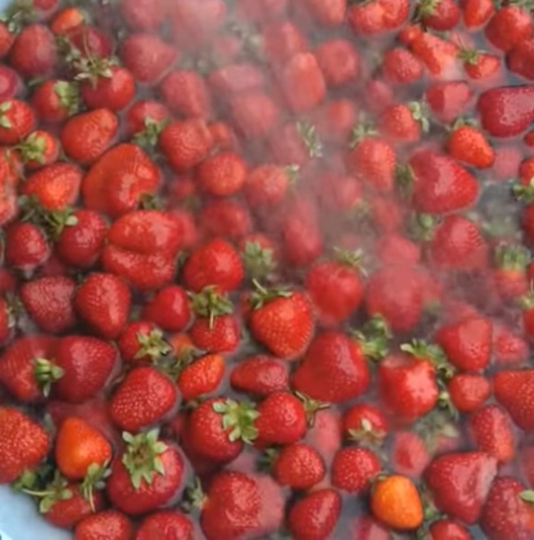 4c7fd7228629b9a149bbad82db52a7d7