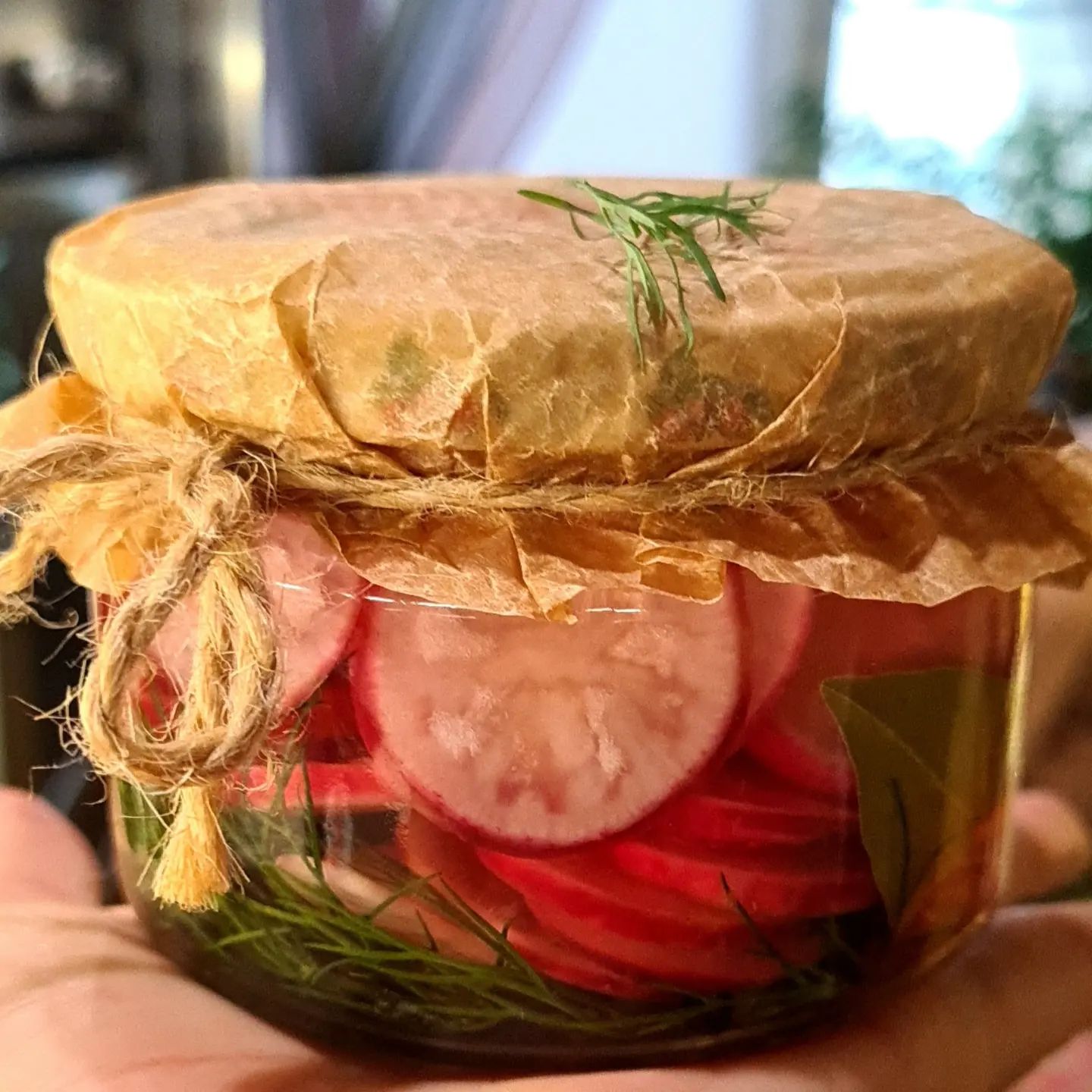 Цікавою закускою стане незрівнянна маринована редиска - така краса прикрасить не лише святковий стіл, а й стане чудовим доповненням до будь-якої страви