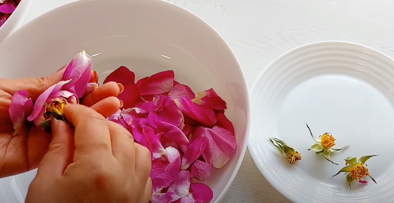 Найсмачніший напій у світі - з пелюсток троянд! Ви повинні його спробувати "Трояндове мохіто" на зиму