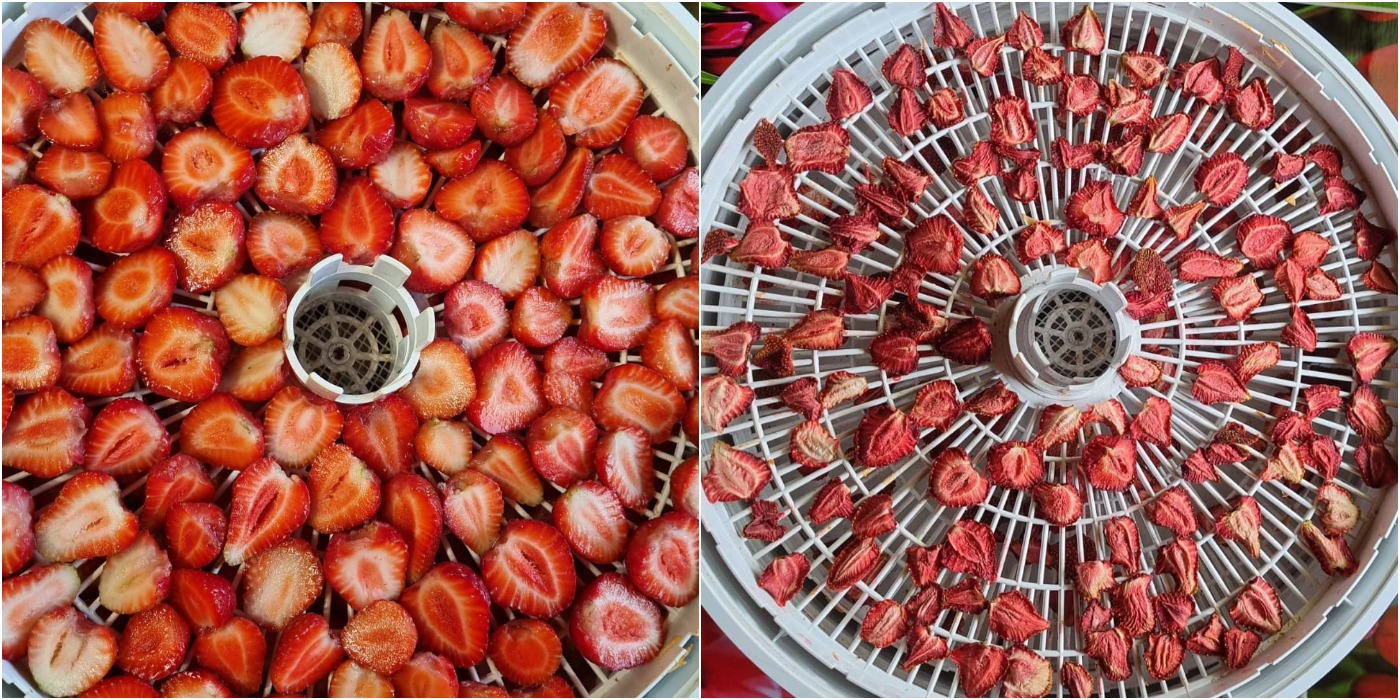 Показую, які заготовки я роблю з полуниці на зиму і не тільки. В мене вони є щороку на постійній основі