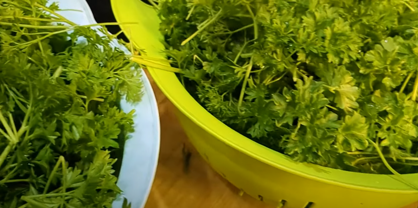 Свіжа ЗЕЛЕНЬ у будь-яку пору року! Цей соус із петрушки Ви будете готувати завжди! Рецепт завжди свіжої та ароматної зелені (БЕЗ стерилізації)