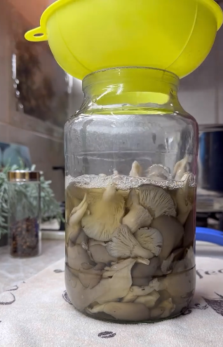 Не рецепт, а справжня знахідка! Мариновані ГЛИВИ на зиму: найкращий рецепт приготування цих смачних грибочків