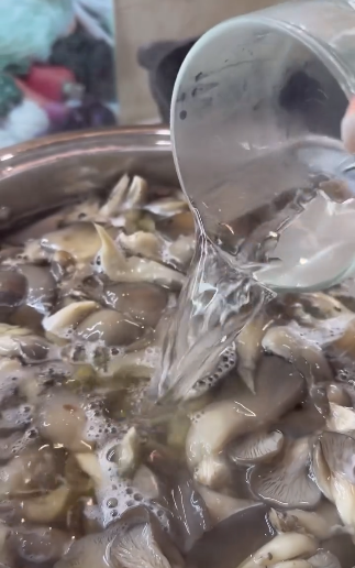 Не рецепт, а справжня знахідка! Мариновані ГЛИВИ на зиму: найкращий рецепт приготування цих смачних грибочків