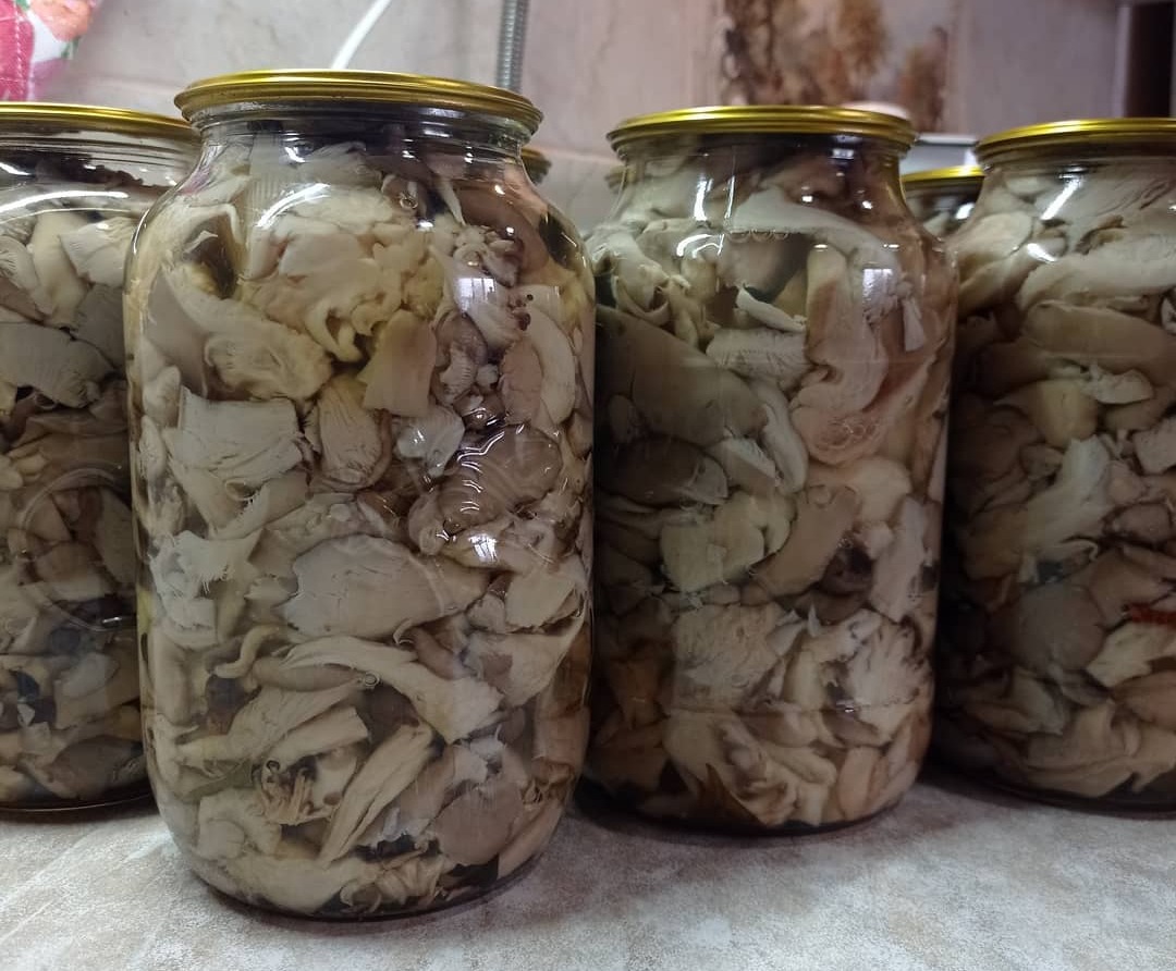 Не рецепт, а справжня знахідка! Мариновані ГЛИВИ на зиму: найкращий рецепт приготування цих смачних грибочків