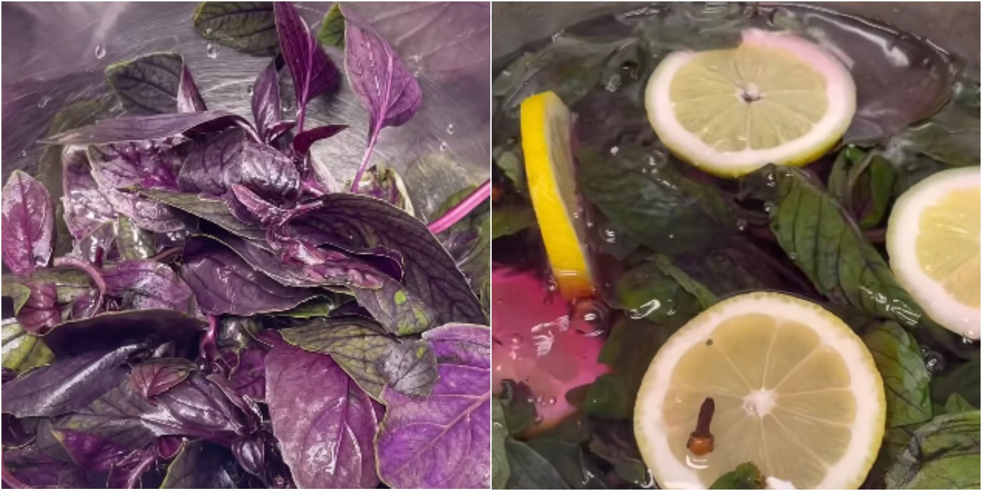 Шикарний освіжаючий напій, який ми готуємо все літо! Смачний базиліковий лимонад "Барбі"