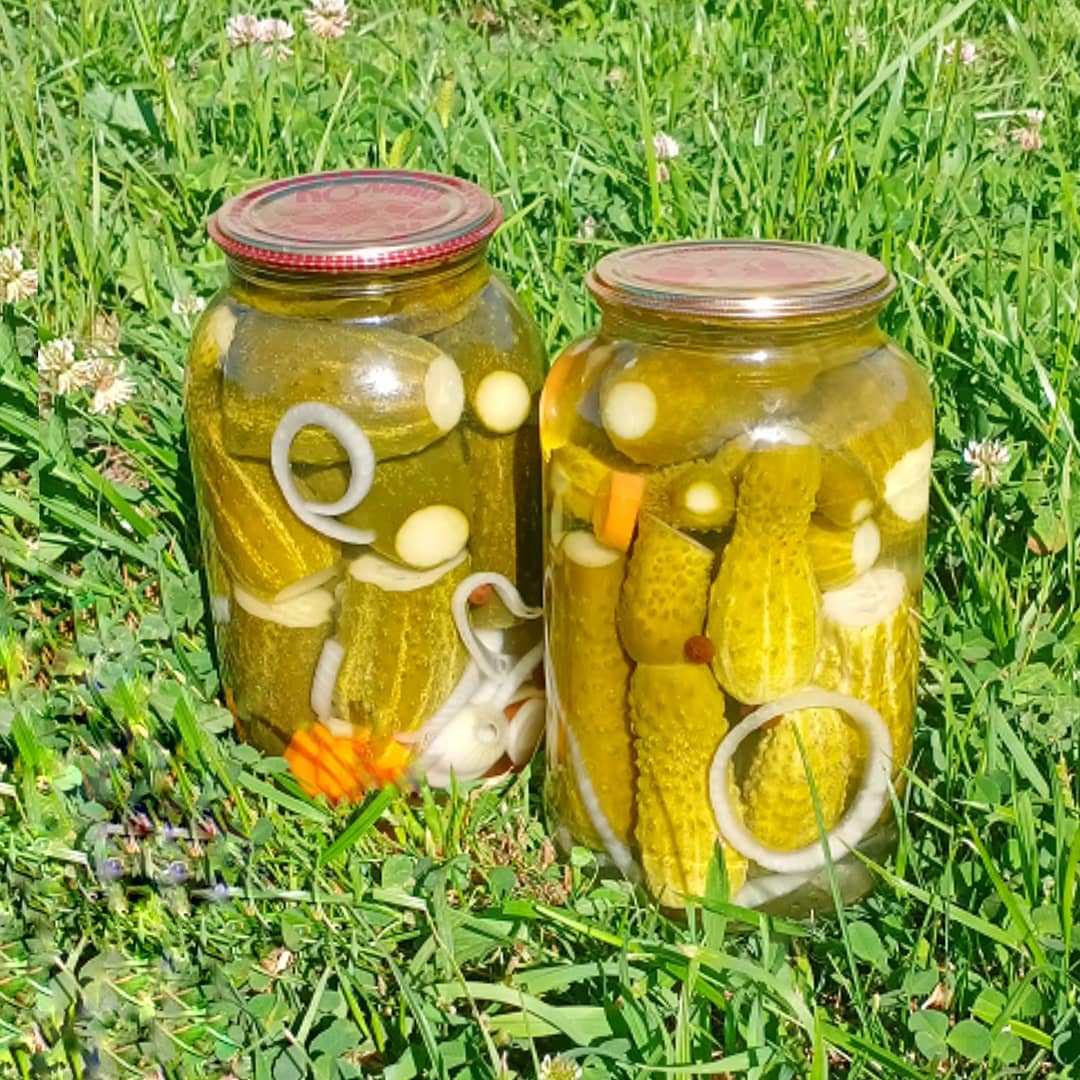 Ті самі знамениті мариновані огірочки "ПО-БОЛГАРСЬКИ" на зиму. Закриваю їх вже більше 10 років - хрумкі і дуже смачні