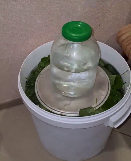 Бочкові огірки - рецепт найсмачніших, хрумких огірочків від моєї бабусі. Швидкий і простий спосіб!