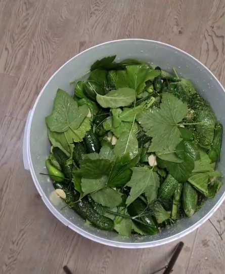 Бочкові огірки - рецепт найсмачніших, хрумких огірочків від моєї бабусі. Швидкий і простий спосіб!