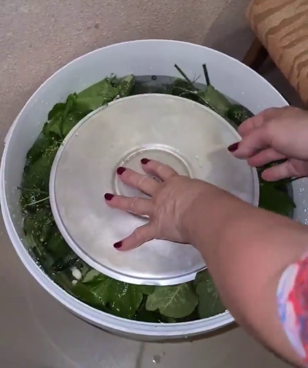 Бочкові огірки - рецепт найсмачніших, хрумких огірочків від моєї бабусі. Швидкий і простий спосіб!