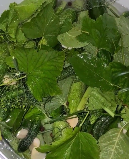 Бочкові огірки - рецепт найсмачніших, хрумких огірочків від моєї бабусі. Швидкий і простий спосіб!