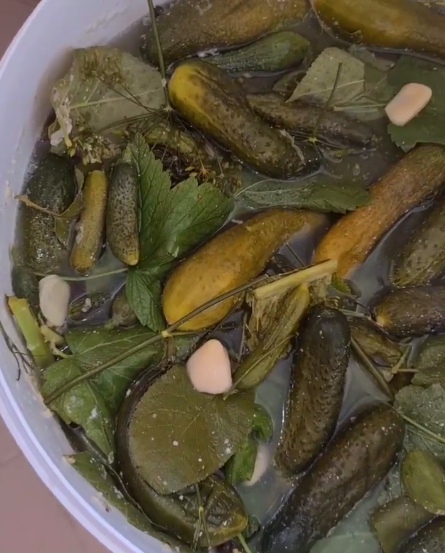 Бочкові огірки - рецепт найсмачніших, хрумких огірочків від моєї бабусі. Швидкий і простий спосіб!