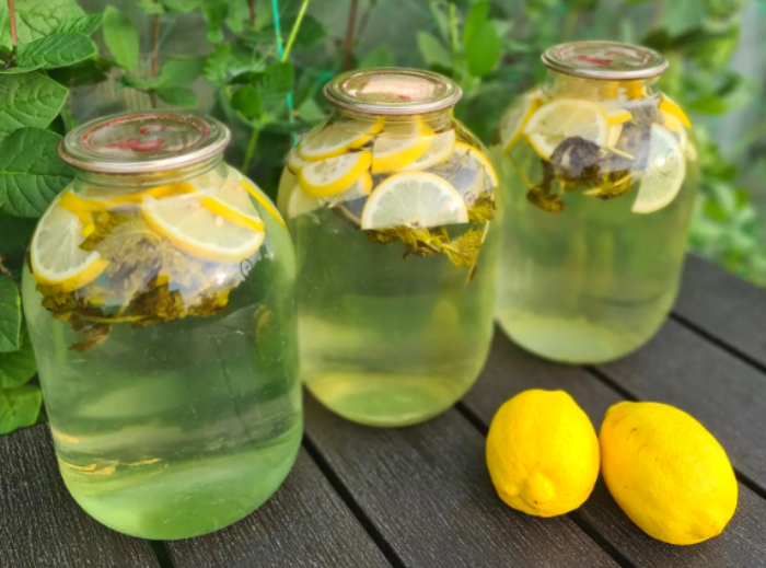 Це МОХІТО НА ЗИМУ стало справжнім хітом! Набрало найбільше відгуків в тому році! В нас він закінчується першим серед компотів!