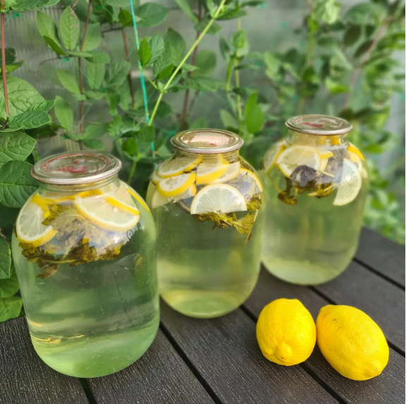 Це МОХІТО НА ЗИМУ стало справжнім хітом! Набрало найбільше відгуків в тому році! В нас він закінчується першим серед компотів!