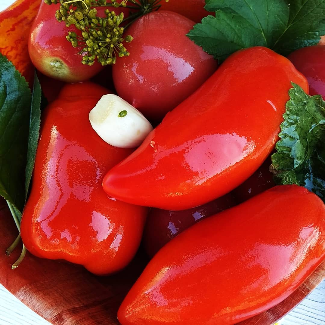 Помідори квашені холодним способом - смачно дуже! Супер рецепт! Від таких помідорок неможливо відірватись!