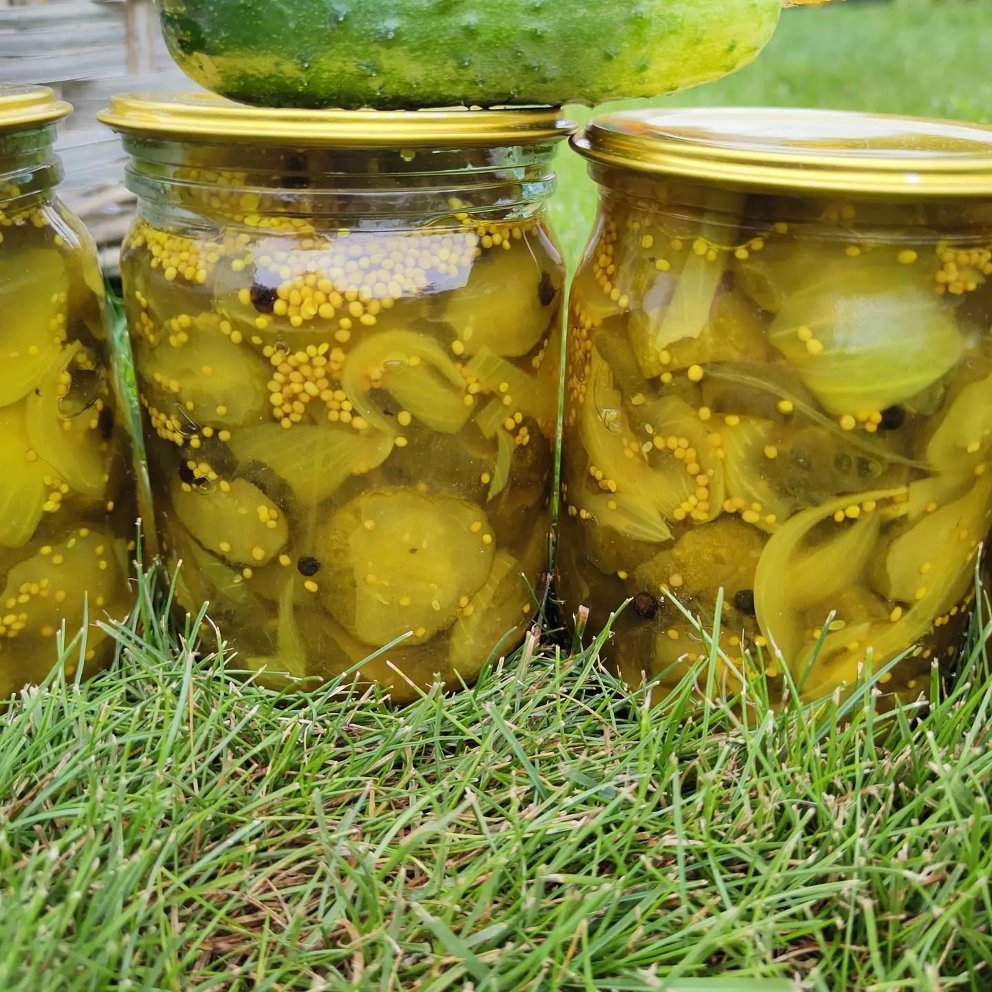 Пікулі з огірків на зиму. Це бутербродні огірочки, ті самі, які додають у сендвічі, гамбургери та бутерброди