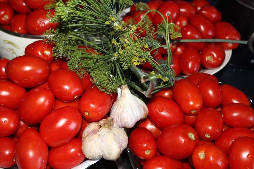 Солоні помідори БЕЗ оцту "Пальчики оближеш". Старий і добрий рецепт засолювання помідорів на зиму