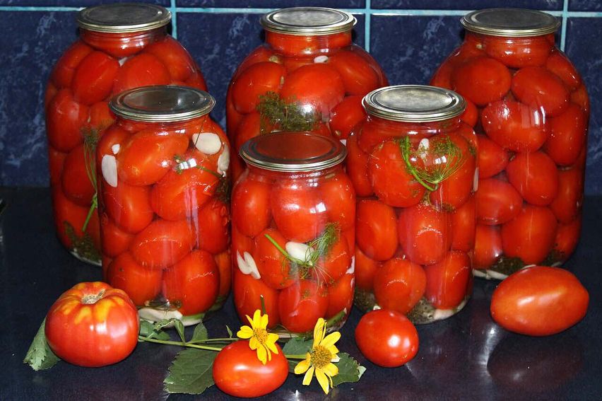 Солоні помідори БЕЗ оцту "Пальчики оближеш". Старий і добрий рецепт засолювання помідорів на зиму