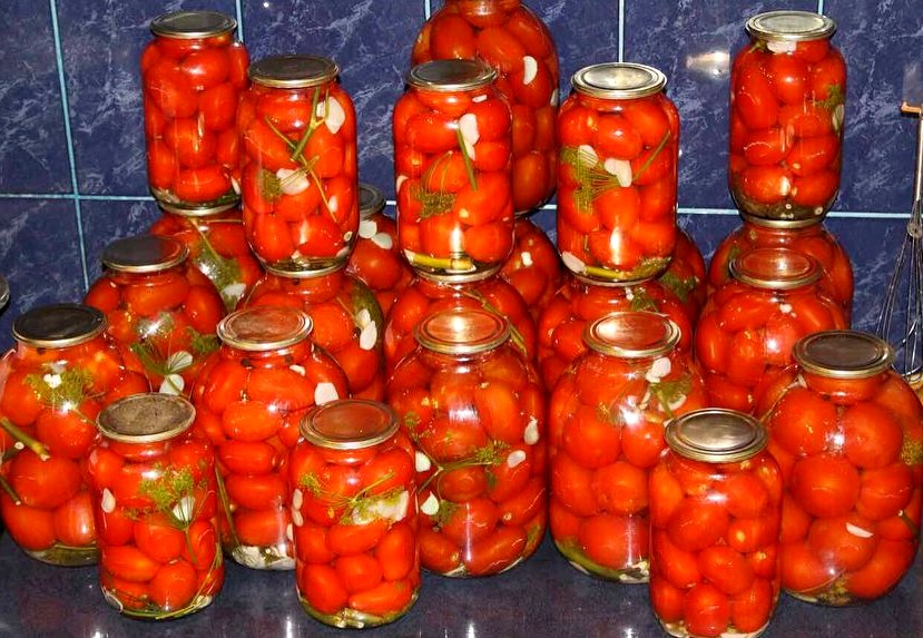 Солоні помідори БЕЗ оцту "Пальчики оближеш". Старий і добрий рецепт засолювання помідорів на зиму