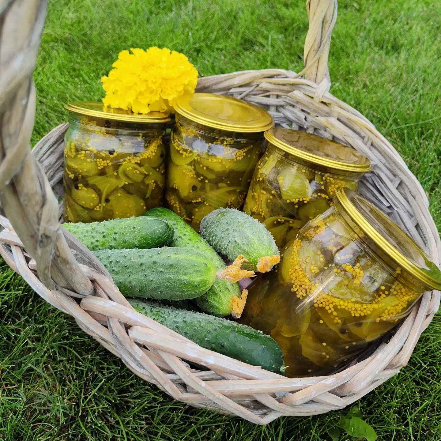 Пікулі з огірків на зиму. Це бутербродні огірочки, ті самі, які додають у сендвічі, гамбургери та бутерброди