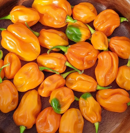 Соус Хабанеро на зиму - любителі гостреньких закусок, оцінять цей соус по-достоїнству!