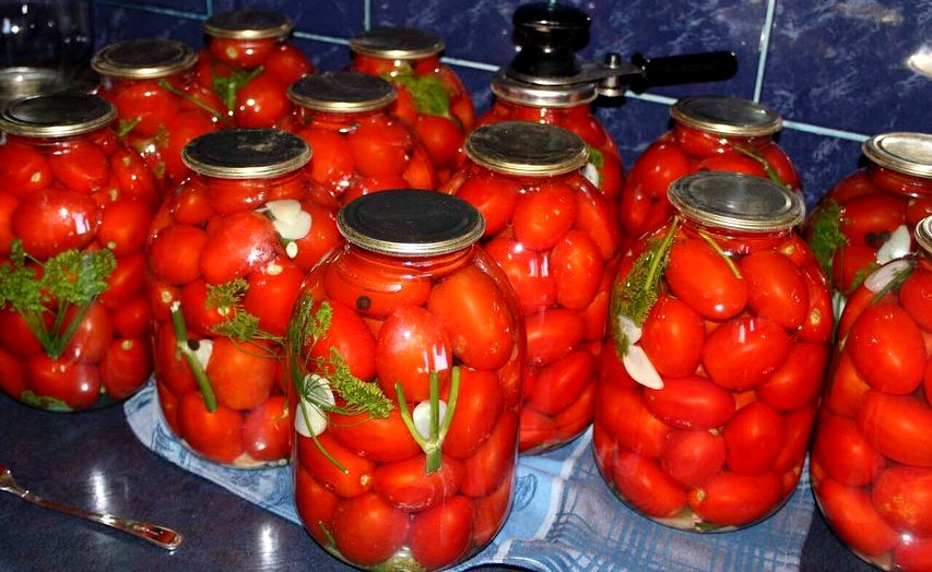 Солоні помідори БЕЗ оцту "Пальчики оближеш". Старий і добрий рецепт засолювання помідорів на зиму