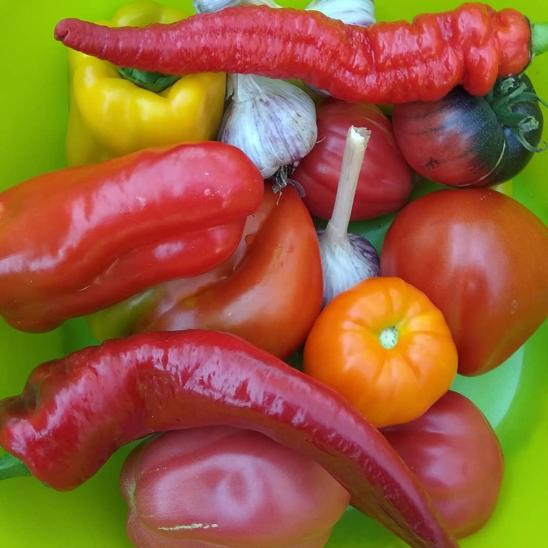 Помідори в овочевій заливці "пальчики оближеш". У цьому рецепті смачно все - і помідори і заливка!