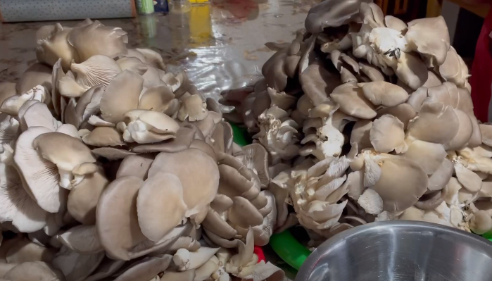 Мариновані ГЛИВИ на зиму. Ділюсь 2 способами приготування найсмачніших грибочків