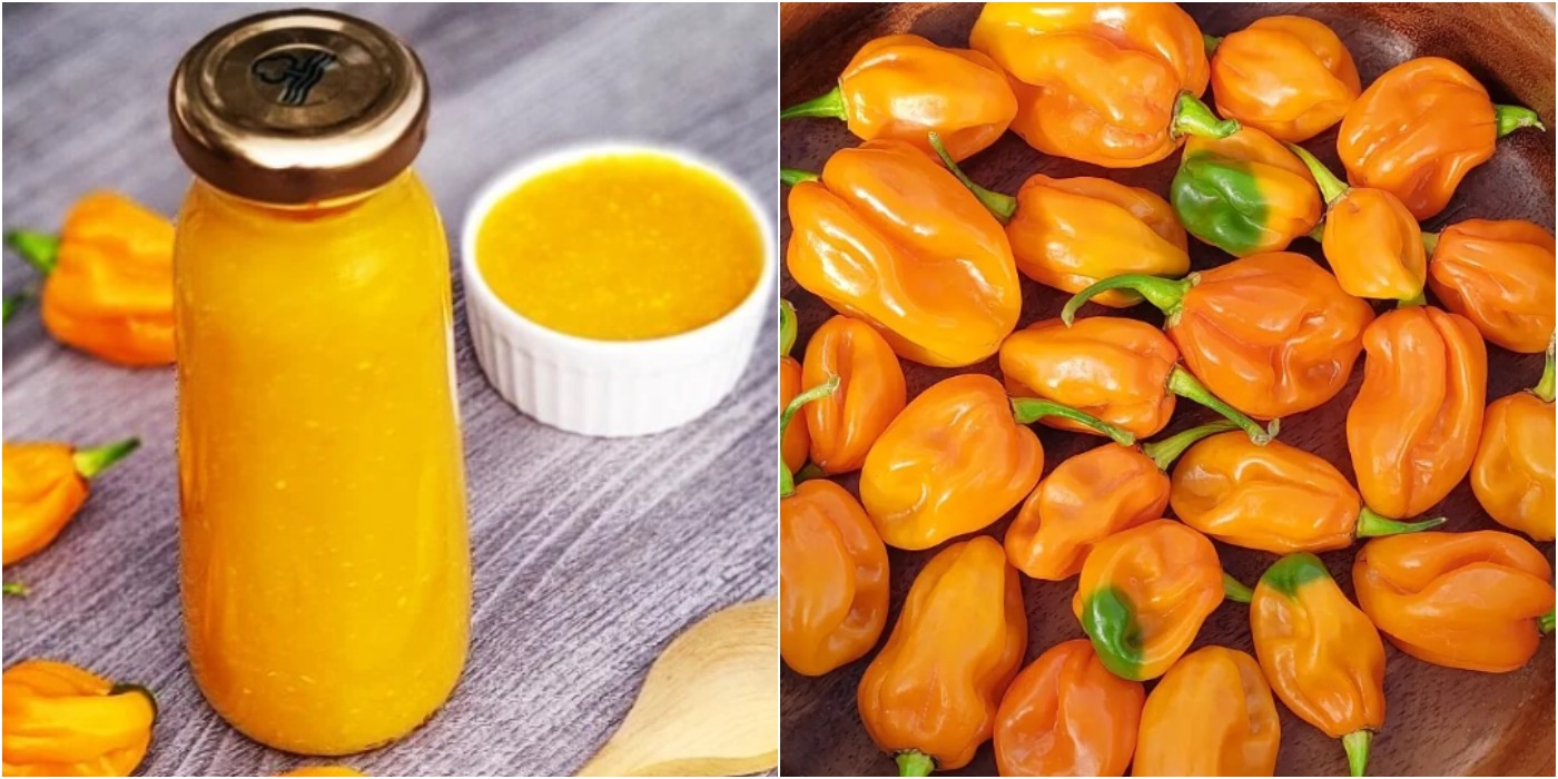 Соус Хабанеро на зиму - любителі гостреньких закусок, оцінять цей соус по-достоїнству!