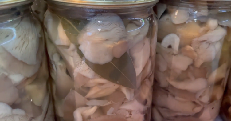 Мариновані ГЛИВИ на зиму. Ділюсь 2 способами приготування найсмачніших грибочків