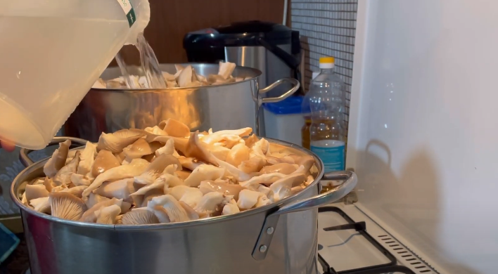 Мариновані ГЛИВИ на зиму. Ділюсь 2 способами приготування найсмачніших грибочків