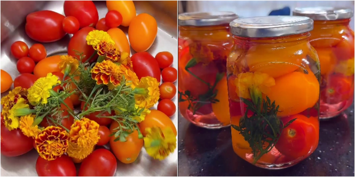 Рецепт, тих самих «Оксамитових помідорів»! Неймовірно смачні і запашні помідори з чорнобривцями на зиму