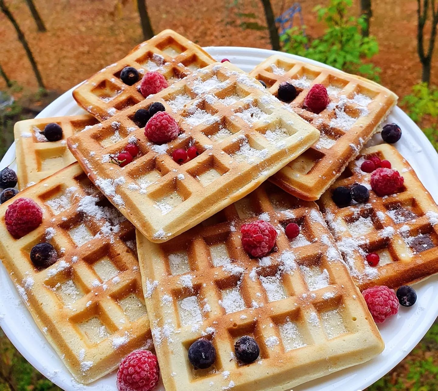 Беру 200 мл молока і готую свої улюблені ласощі! Віденські вафлі в домашніх умовах - це смачно і просто!