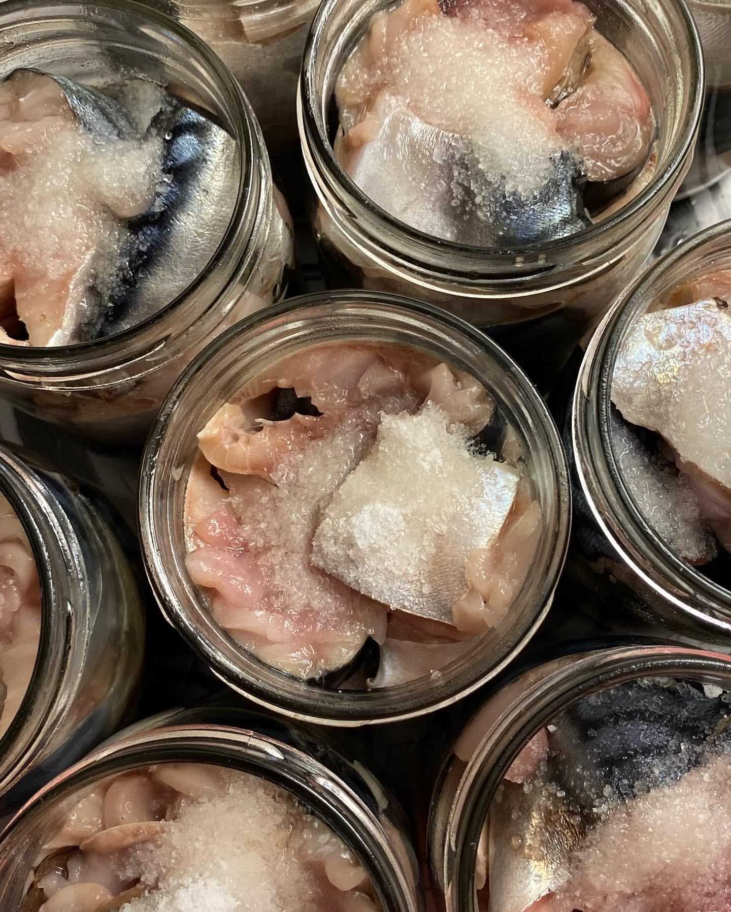 Скумбрія з олією в автоклаві. Це чудовий рецепт перевірений роками! Дуже смачна рибна консерва - магазинна навіть поруч не стоїть!