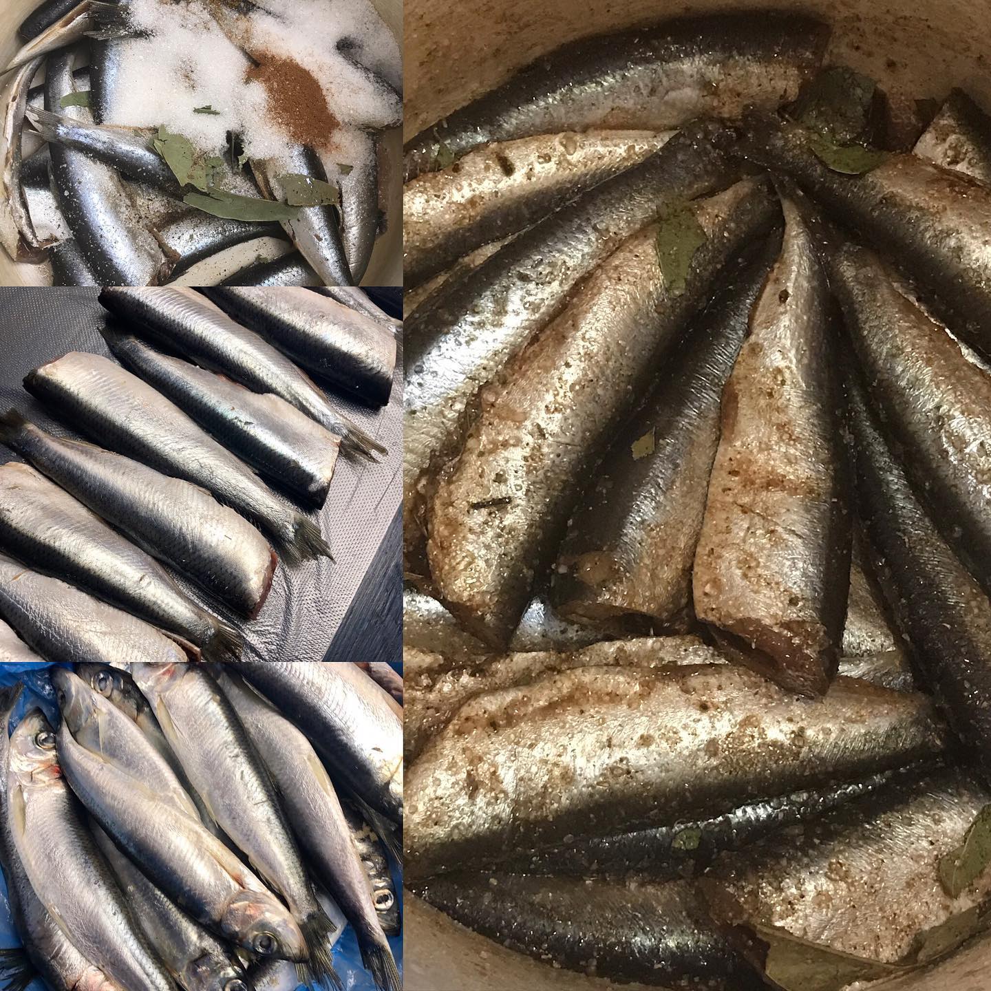 Мариновану рибу в магазині давно не купую! Салака пряного посолу в домашніх умовах - це просто і дуже смачно!
