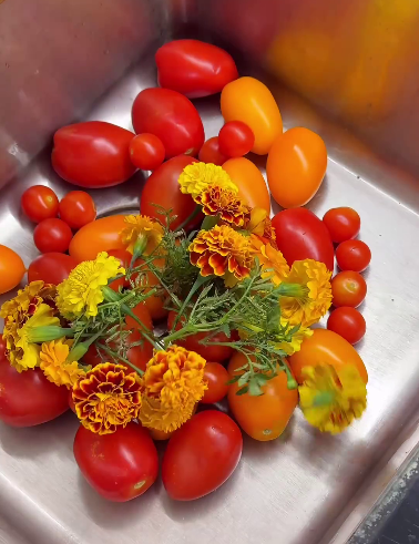 Рецепт, тих самих «Оксамитових помідорів»! Неймовірно смачні і запашні помідори з чорнобривцями на зиму