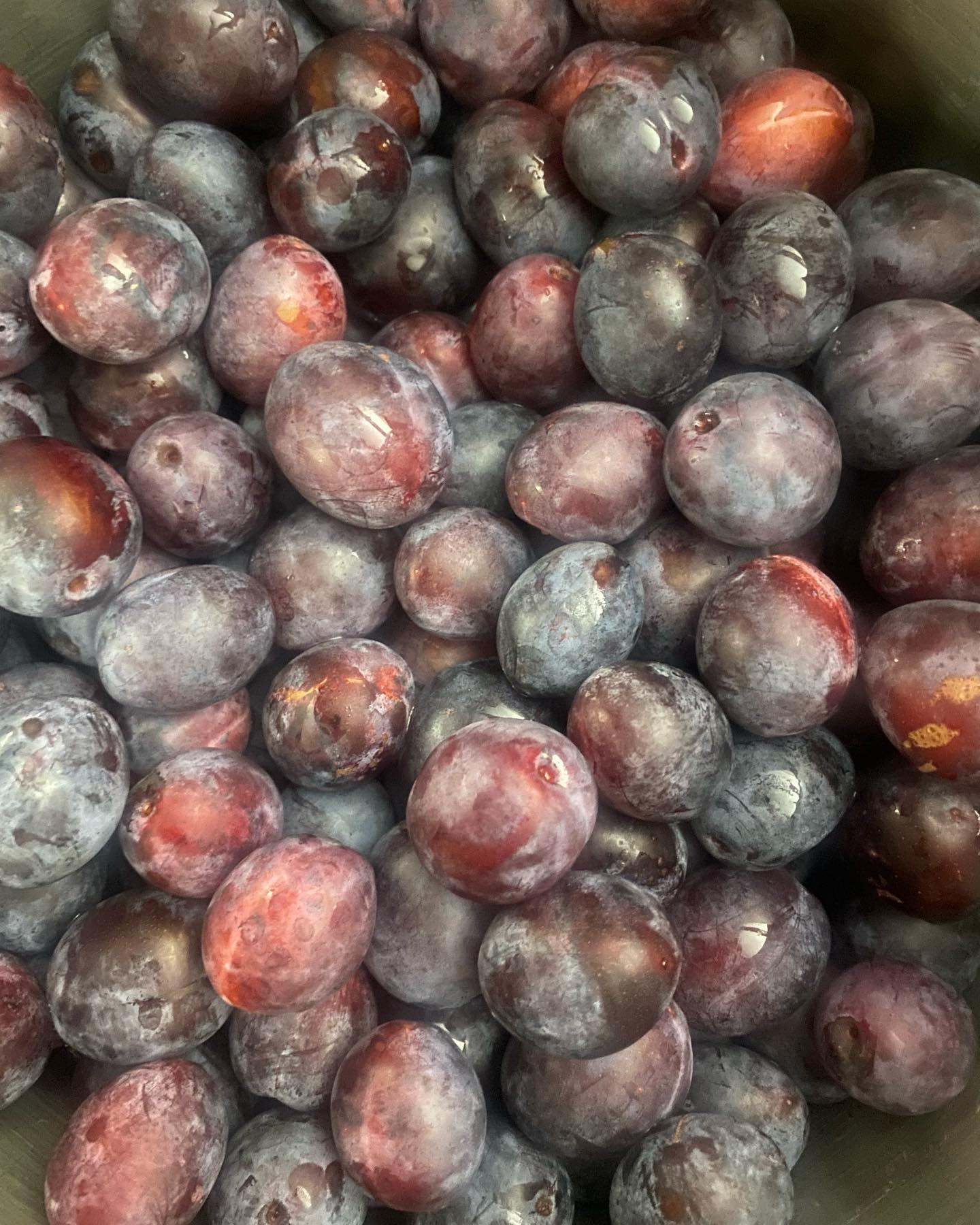 Як тільки бачу ці сливи, то відразу хочу м'яса! Мариновані пряні сливи з часником на зиму