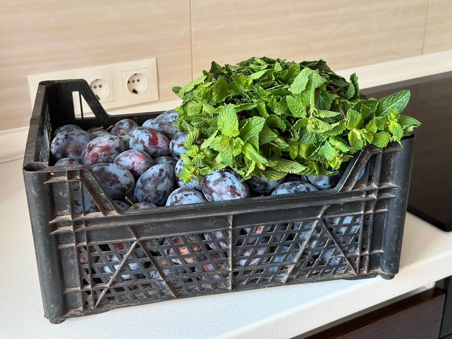 Сливовий компот із м'ятою на зиму - рецепт найпростіший, а смак просто неймовірний