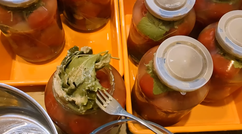 Квашені помідори, як бочкові! БЕЗ оцту та стерилізації! Такі помідори на зиму зберігаються у квартирі!