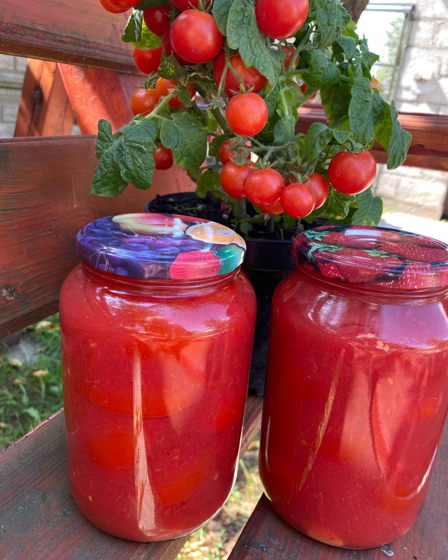 Томати у власному соку на зиму: найпростіший рецепт домашньої заготовки БЕЗ оцту (смачно і корисно)