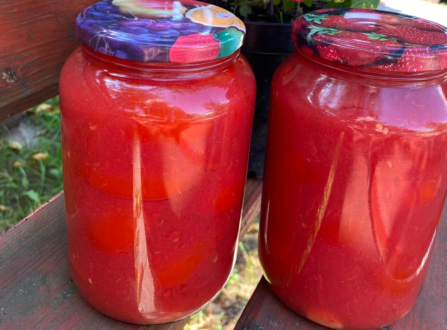 Томати у власному соку на зиму: найпростіший рецепт домашньої заготовки БЕЗ оцту (смачно і корисно)