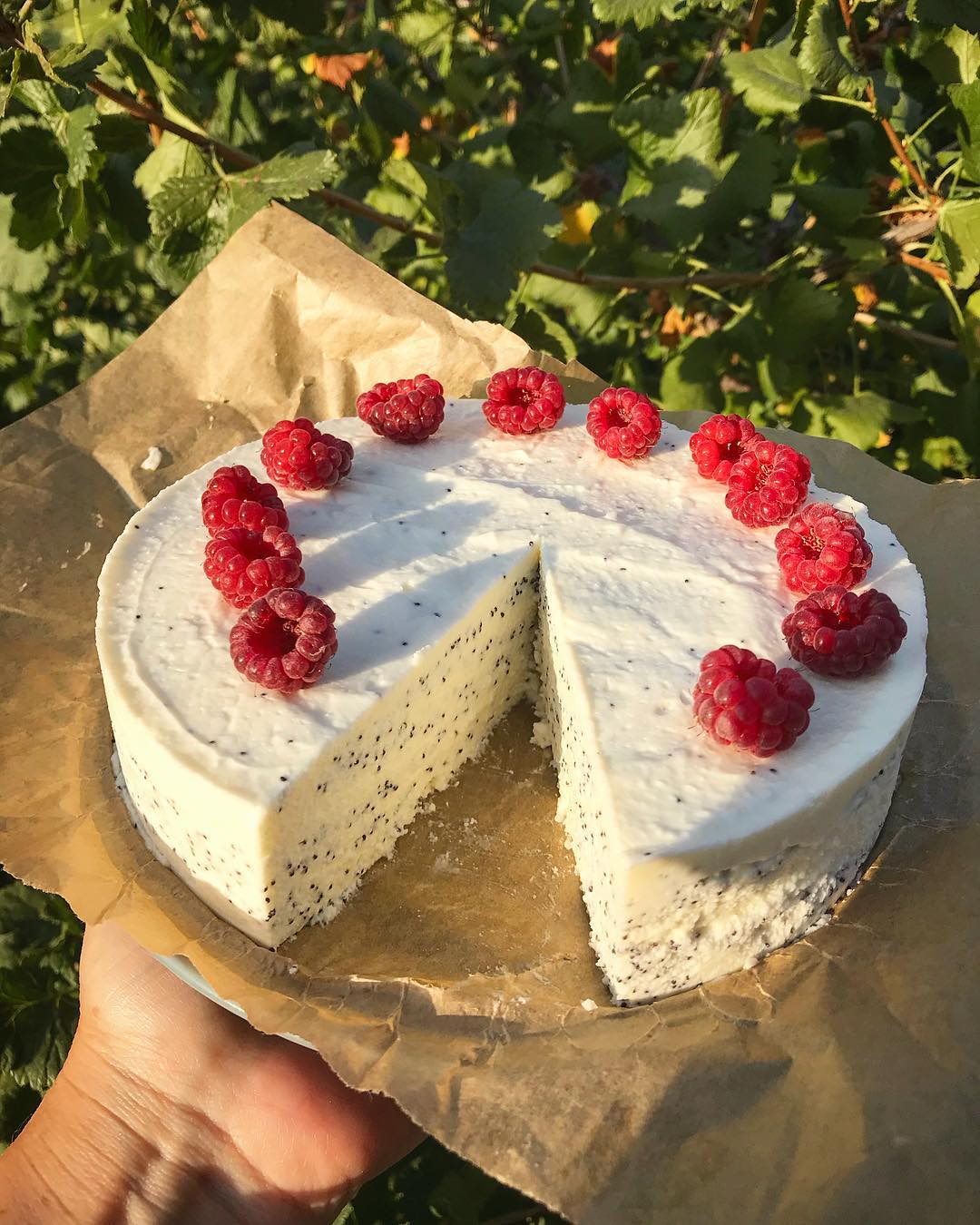 Це так смачно, що із задоволенням їдять і дітки і дорослі! Легкий, повітряний маковий сирник на швидку руку!